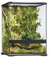 Reptile Cage Free Photos Reptile Cage Free Photos